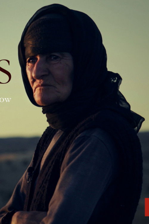 Last Christians (2018) poster