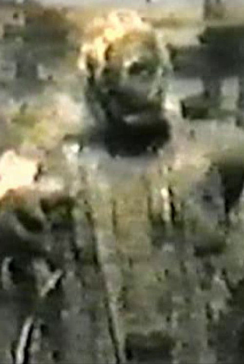 The House of the Living Dead: The Injection 2 (1997) poster