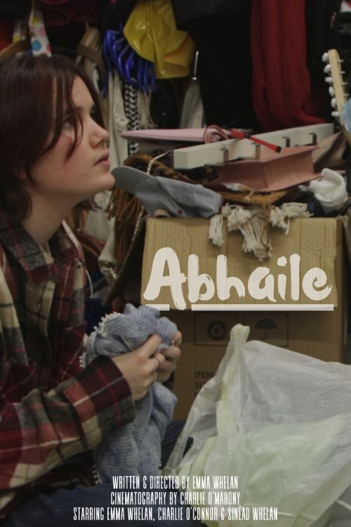 Abhaile (2025) poster