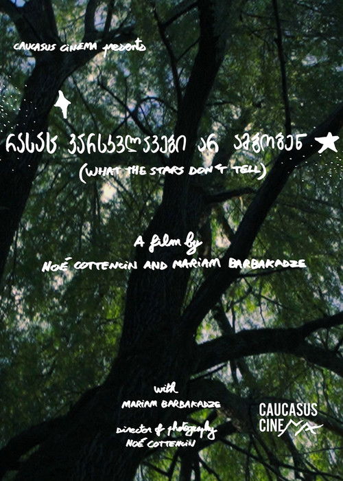 What the Stars Don’t Tell (2025) poster