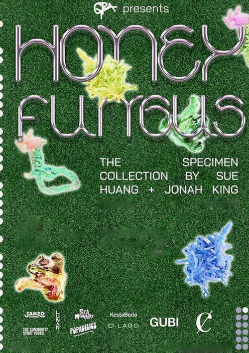 Honey Fungus poster