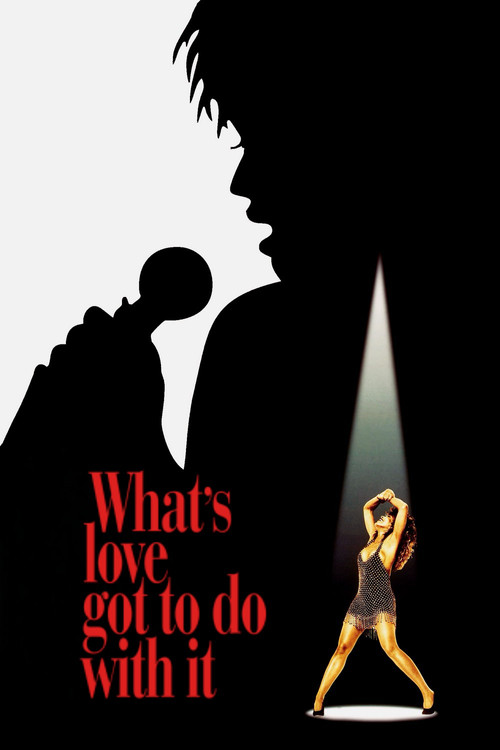 What's Love Got to Do with It (1993) poster