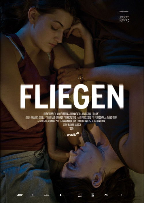 Fliegen (2016) poster
