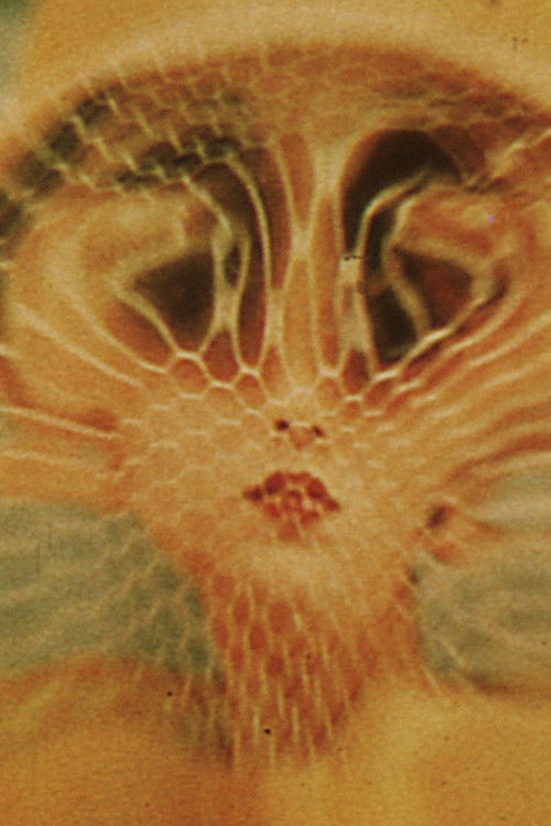 The Great Brain Robbery (1965) poster