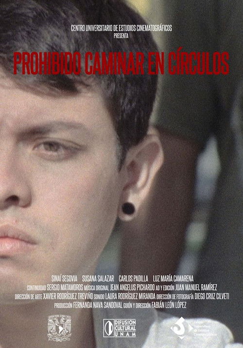 Do Not Walk in Circles (2015) poster