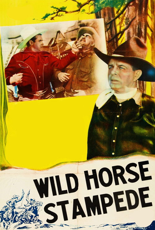 Wild Horse Stampede (1943) poster
