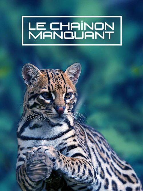 Le Chaînon Manquant (2020) poster