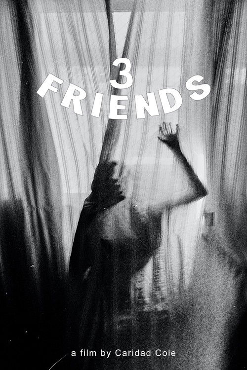3 Friends (2015) poster