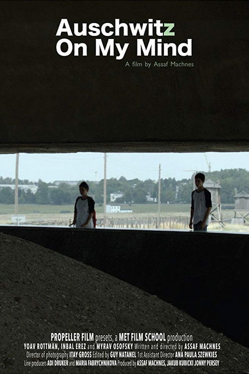 Auschwitz on My Mind (2013) poster