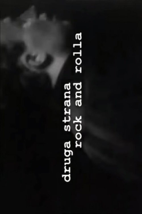 The Other Side of Rock and Roll (2010) poster