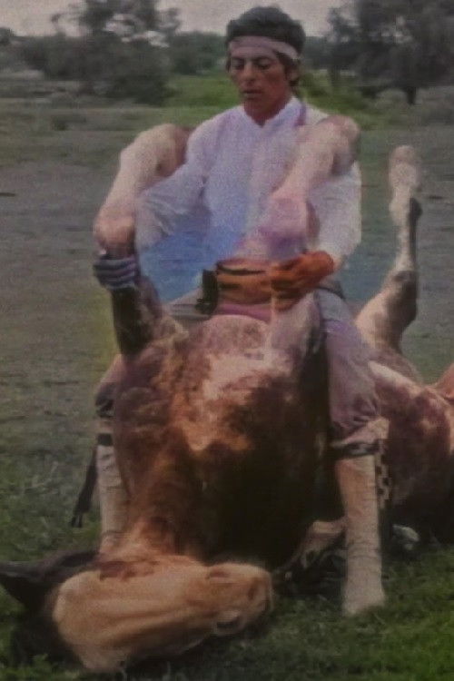 The Rider (2023) poster