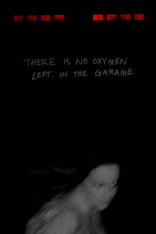 There Is No Oxygen Left In The Garage (2025) poster