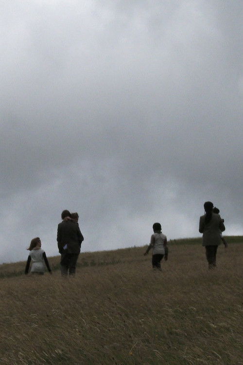 Finding Fanon Part 3 (2017) poster