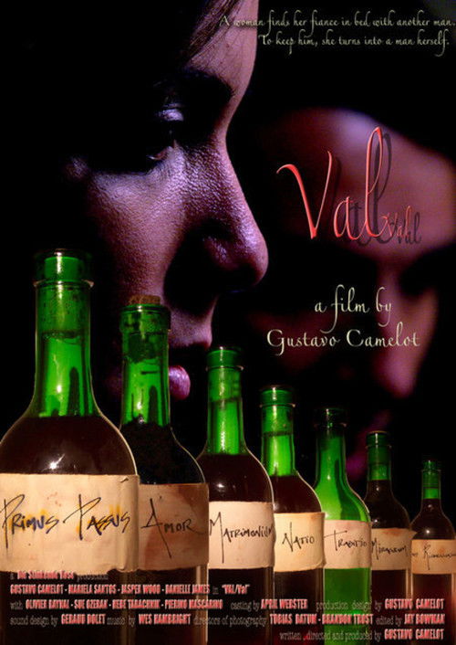 Val/Val (2005) poster