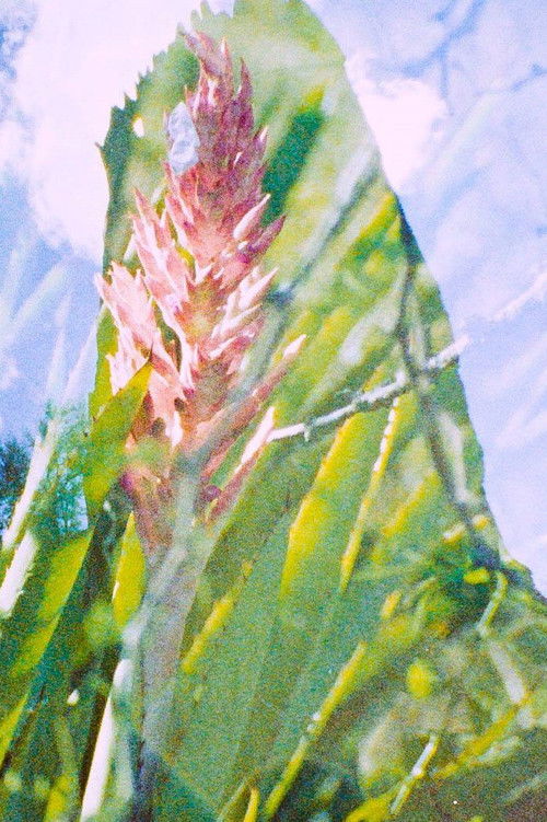 Corriente (2017) poster