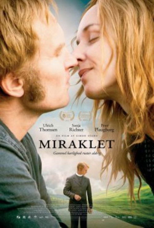 The Miracle (2013) poster