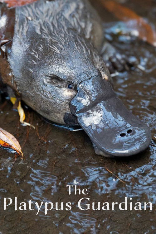 The Platypus Guardian (2023) poster