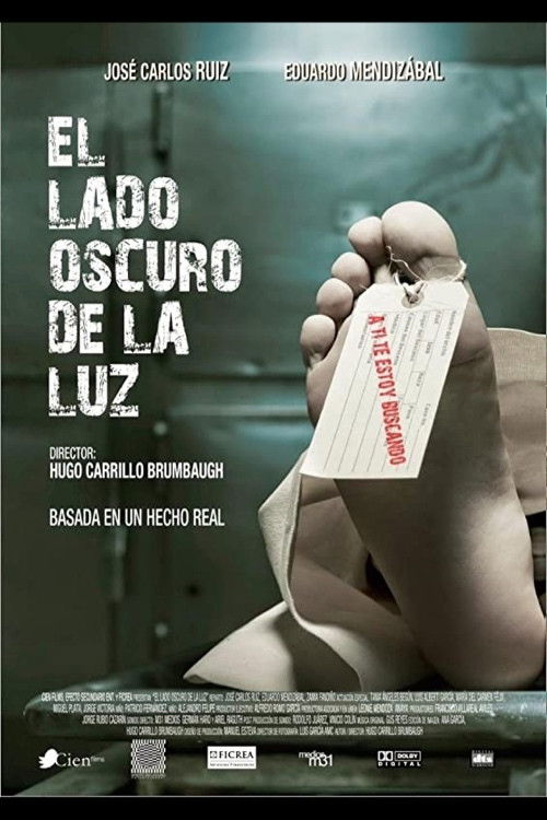 El lado oscuro de la luz (2013) poster