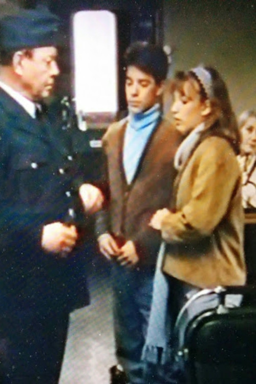 Kontrollanten (1992) poster