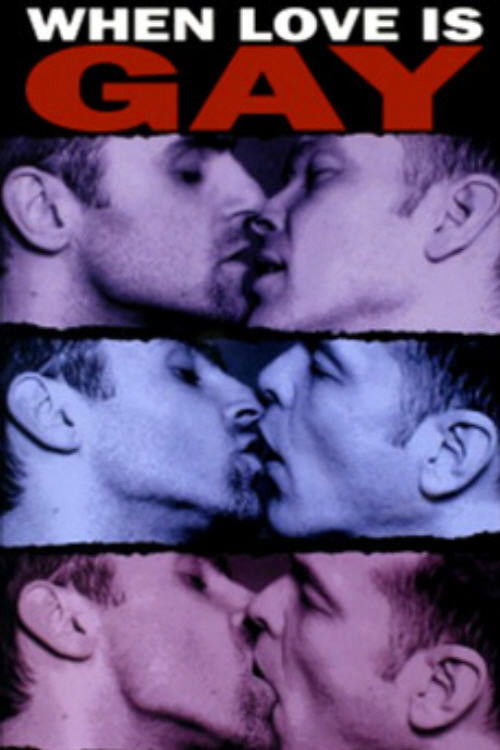When Love Is Gay (1994) poster