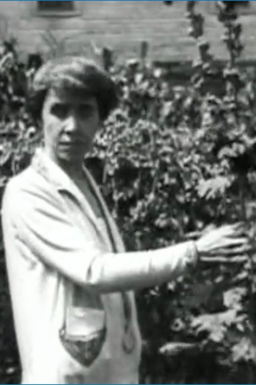 Visitin' 'round at Coolidge Corners (1924) poster