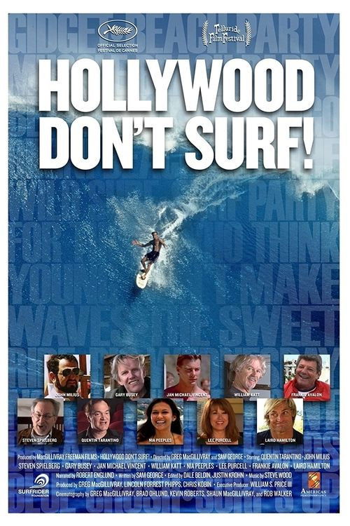 Hollywood Don't Surf! (2010) poster