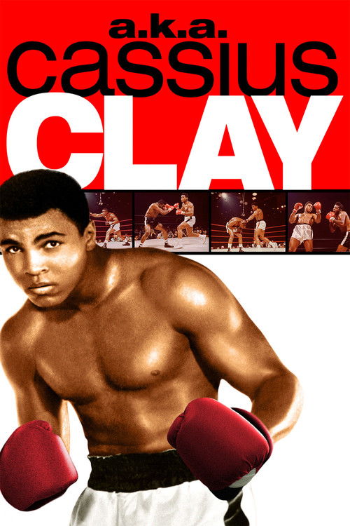 a.k.a. Cassius Clay (1970) poster