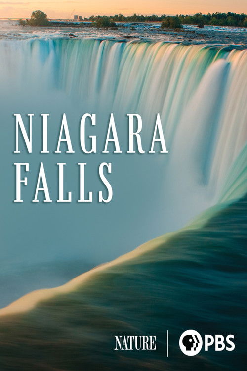 Niagara Falls (2023) poster