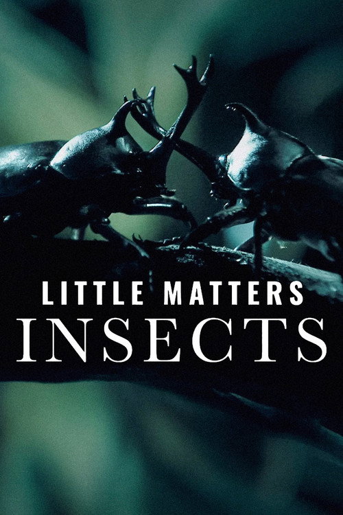 Little Matters: Insects (2015) poster