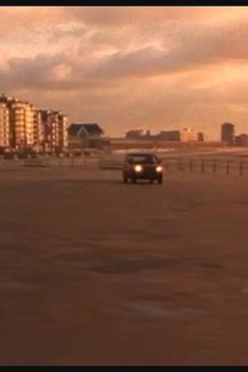 My Way (1993) poster