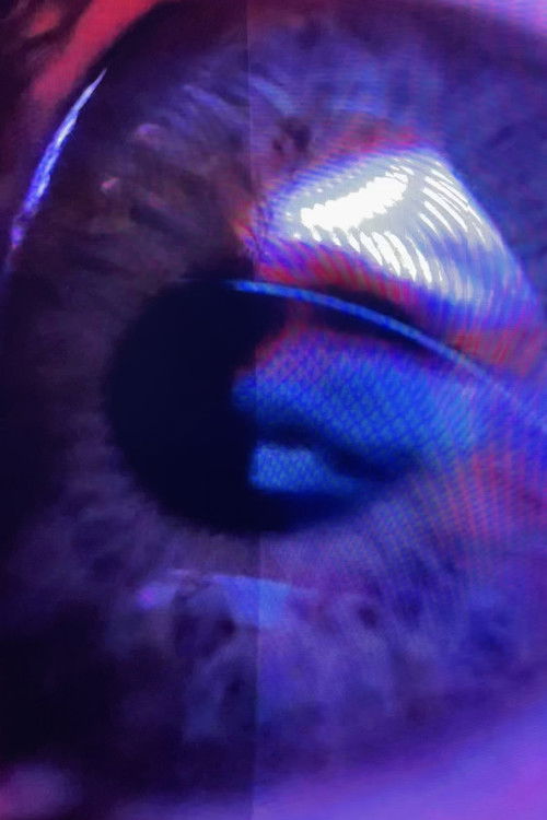 One Glass Eye Melting (2025) poster