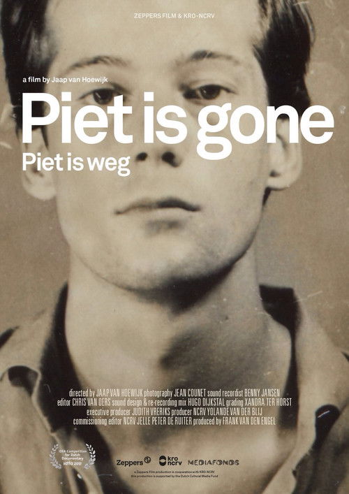 Piet is Gone (2018) poster