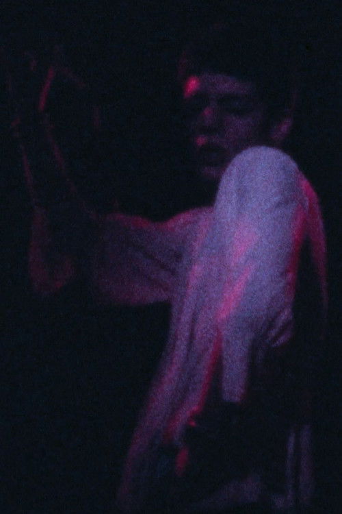 Brakaman (1973) poster