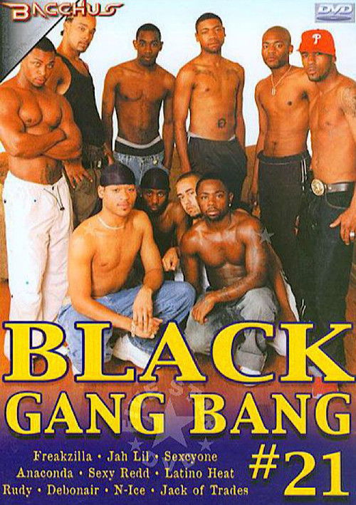 Black Gang Bang 21 (2004) poster