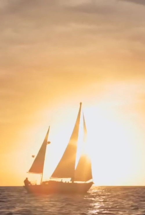 Twenty Eight Feet: Life on a Little Wooden Boat (2013) poster