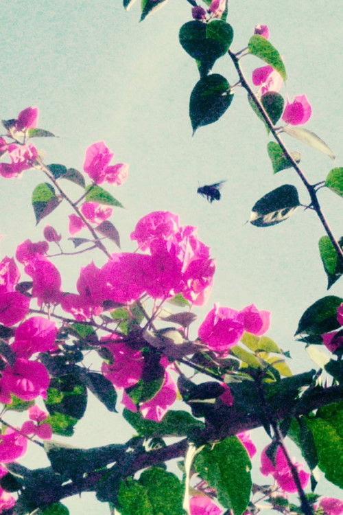 And she was wearing a blue blouse and pink pants (2022) poster