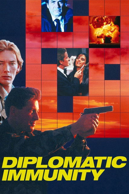 Diplomatic Immunity (1991) poster