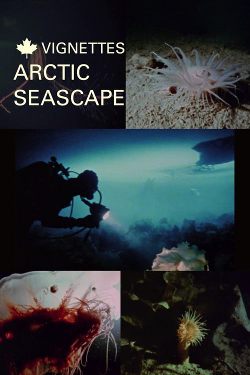 Canada Vignettes: Arctic Seascape (1980) poster