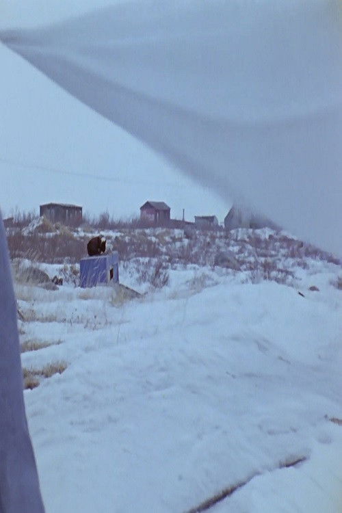 Some Natives of Churchill (1973) poster