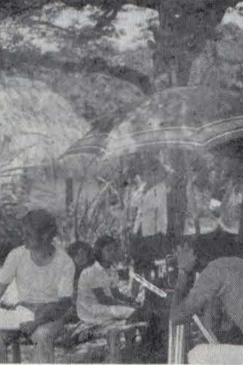 Llano y Contaminación (1973) poster