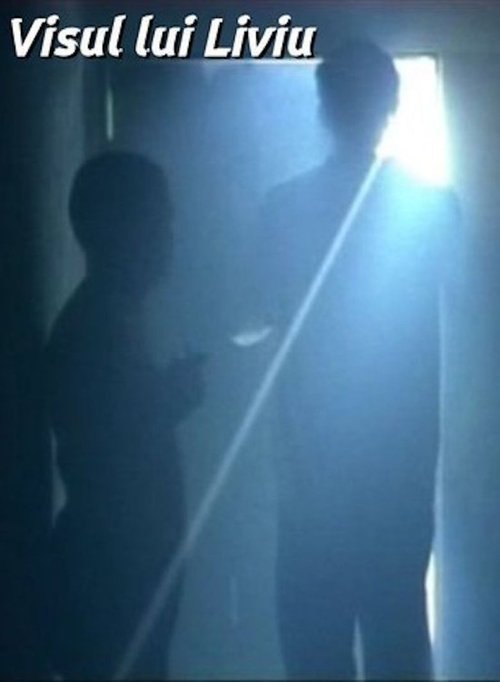Visul lui Liviu (2004) poster