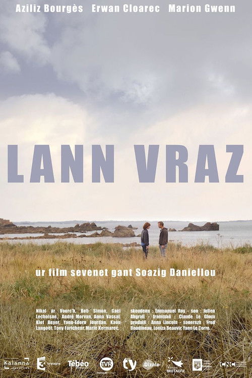 Lann vraz (2013) poster