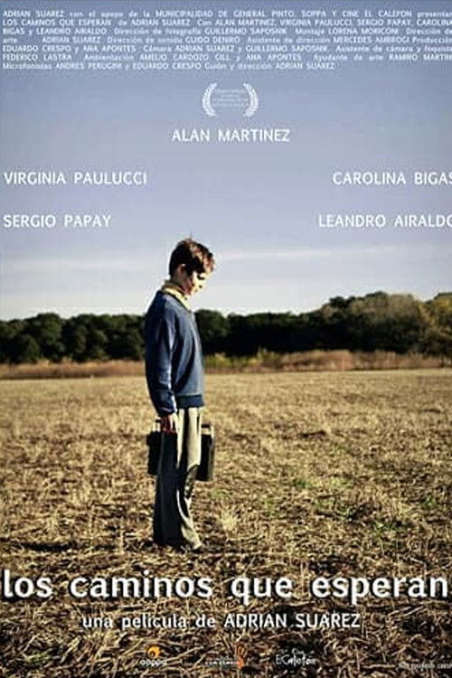 Los caminos que esperan (2010) poster