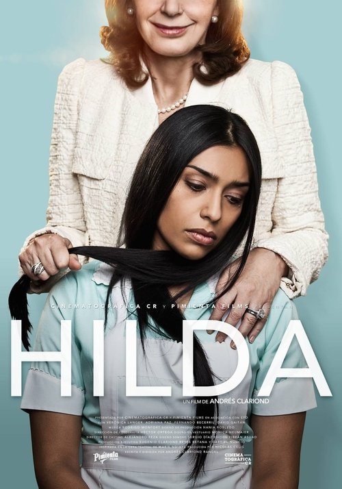 Nunca he tenido una Hilda (2014) poster