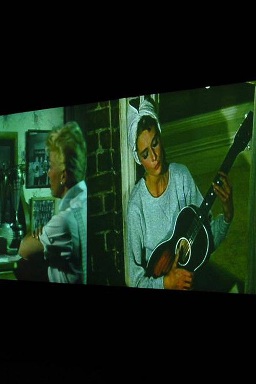 Video Quartet (2002) poster