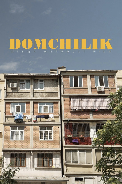 Domchilik (2024) poster