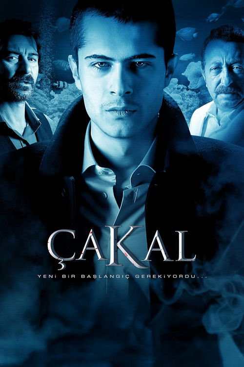 Çakal (2010) poster