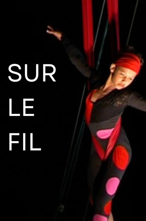 Sur le fil poster