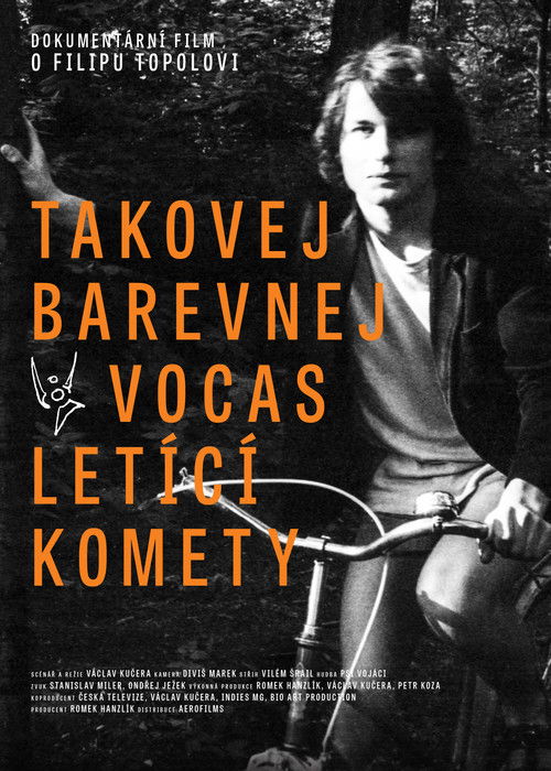 Takovej barevnej vocas letící komety (2015) poster