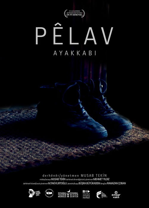 Ayakkabı (2013) poster